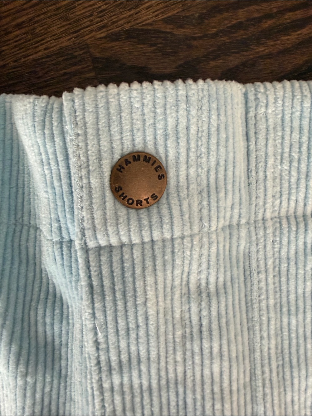 Hammies Powder Blue Corduroy Shorts Retro Coastal Beachy Size 28 NWT - Picture 6 of 6